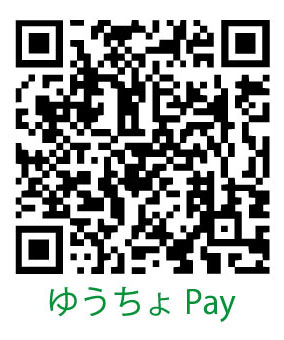 �䂤����pay